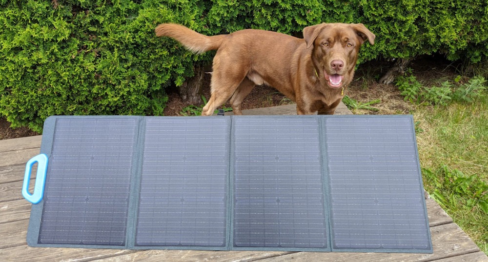 A photo of the Bluetti PV120 unfolded on a deck with a cute brown dog named Bowie behind it