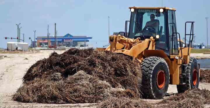 A photo of a bulldozer clearing debris from a beach