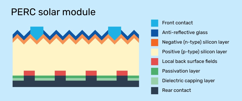 Diagram labeling the parts of a PERC solar module cell